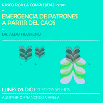 Afiche Emergencia de Patrones a Partir del Caos