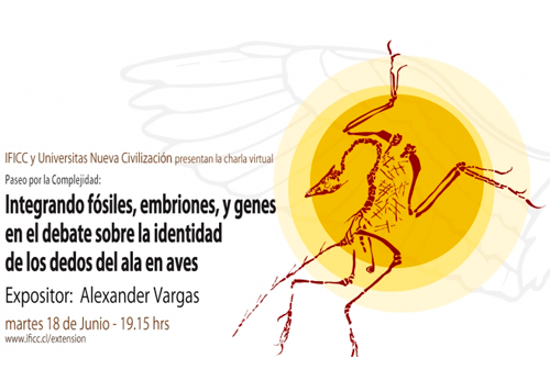 Afiche Integrando fósiles, embriones, y genes en el debate sobre la identidad de los dedos del ala en ave