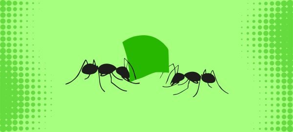 ECONOMÍA SOLIDARIA Y 